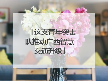 这支青年突击队推动广西智慧交通升级