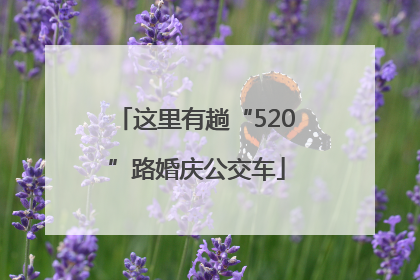 这里有趟“520”路婚庆公交车