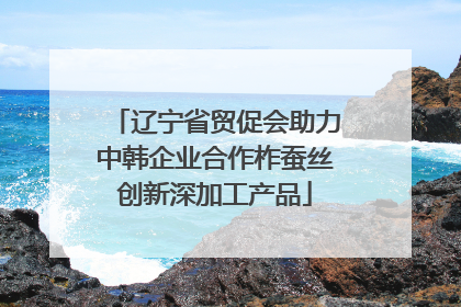 辽宁省贸促会助力中韩企业合作柞蚕丝创新深加工产品