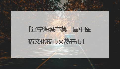 辽宁海城市第一届中医药文化夜市火热开市
