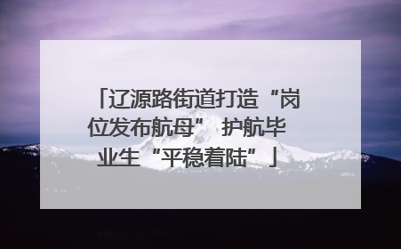辽源路街道打造“岗位发布航母” 护航毕业生“平稳着陆”