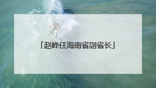 赵峰任海南省副省长