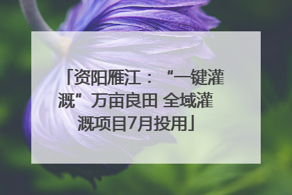 资阳雁江：“一键灌溉”万亩良田 全域灌溉项目7月投用