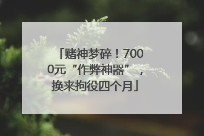 赌神梦碎！7000元“作弊神器”，换来拘役四个月