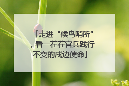 走进“候鸟哨所”，看一茬茬官兵践行不变的戍边使命