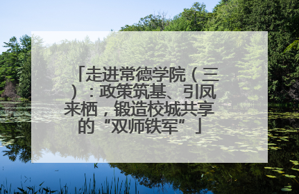 走进常德学院（三）：政策筑基、引凤来栖，锻造校城共享的“双师铁军”
