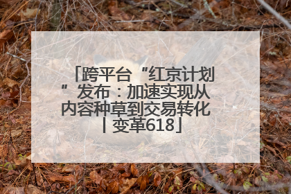 跨平台“红京计划”发布：加速实现从内容种草到交易转化丨变革618
