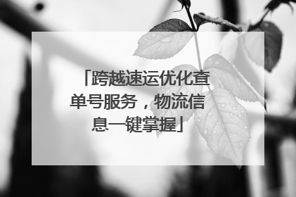 跨越速运优化查单号服务，物流信息一键掌握