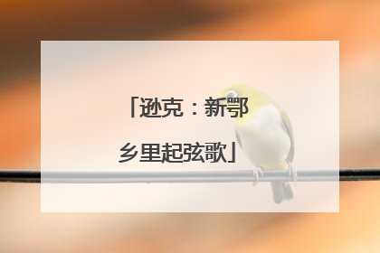 逊克：新鄂乡里起弦歌