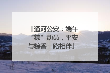 通河公安：端午“粽”动员，平安与粽香一路相伴