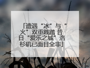 遭遇“冰”与“火”双重践踏 昔日“爱乐之城”洛杉矶已面目全非