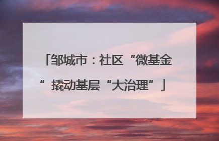 邹城市：社区“微基金”撬动基层“大治理”