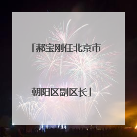 郝宝刚任北京市朝阳区副区长