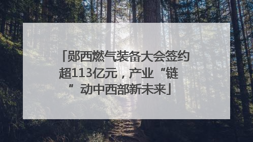 郧西燃气装备大会签约超113亿元，产业“链”动中西部新未来