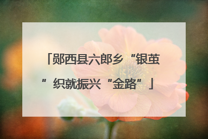 郧西县六郎乡“银茧”织就振兴“金路”