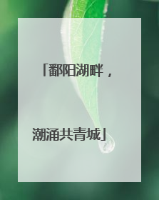 鄱阳湖畔，潮涌共青城