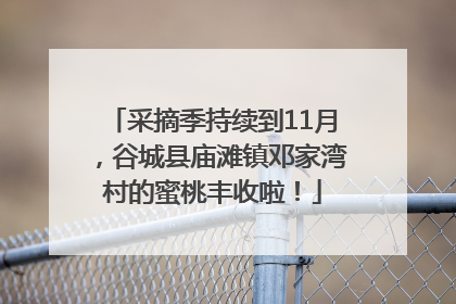 采摘季持续到11月，谷城县庙滩镇邓家湾村的蜜桃丰收啦！