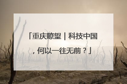 重庆瞭望｜科技中国，何以一往无前？