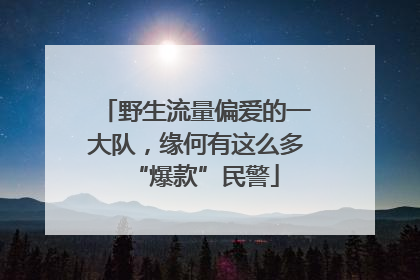 野生流量偏爱的一大队，缘何有这么多“爆款”民警