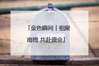 金色瞬间丨相聚南博 共赴盛会