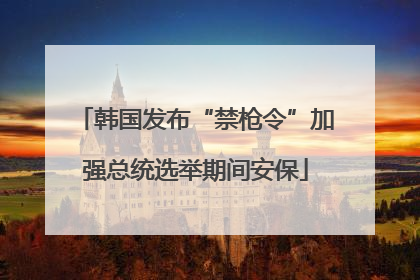 韩国发布“禁枪令”加强总统选举期间安保