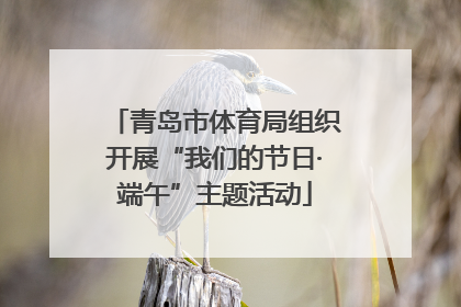 青岛市体育局组织开展“我们的节日·端午”主题活动