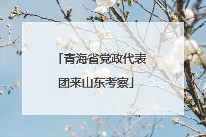 青海省党政代表团来山东考察