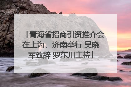 青海省招商引资推介会在上海、济南举行 吴晓军致辞 罗东川主持