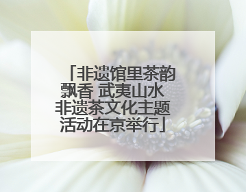 非遗馆里茶韵飘香 武夷山水非遗茶文化主题活动在京举行