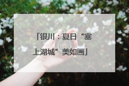 银川：夏日“塞上湖城”美如画