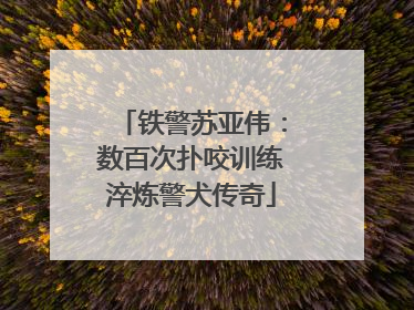 铁警苏亚伟：数百次扑咬训练淬炼警犬传奇