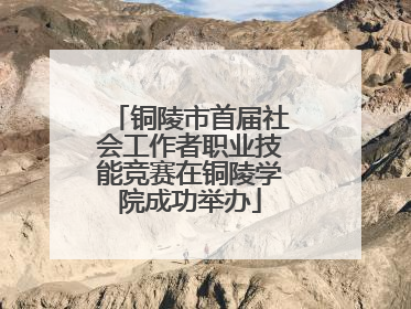 铜陵市首届社会工作者职业技能竞赛在铜陵学院成功举办