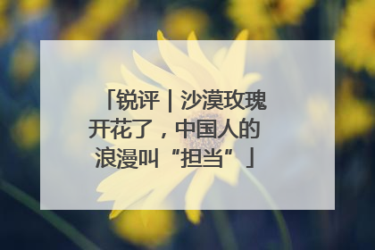 锐评｜沙漠玫瑰开花了，中国人的浪漫叫“担当”