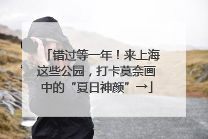 错过等一年！来上海这些公园，打卡莫奈画中的“夏日神颜”→