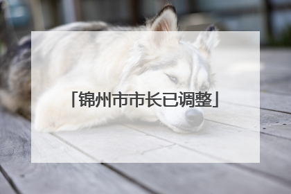 锦州市市长已调整
