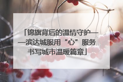 锦旗背后的温情守护——滨达城服用“心”服务书写城市温暖篇章