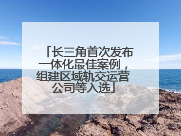 长三角首次发布一体化最佳案例，组建区域轨交运营公司等入选