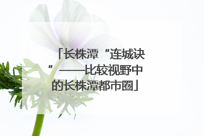 长株潭“连城诀”——比较视野中的长株潭都市圈