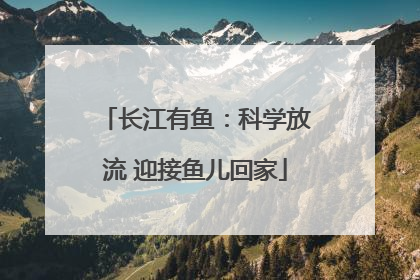 长江有鱼：科学放流 迎接鱼儿回家