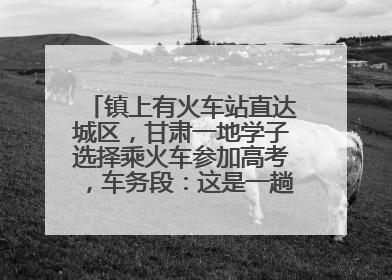 镇上有火车站直达城区，甘肃一地学子选择乘火车参加高考，车务段：这是一趟逐梦列车