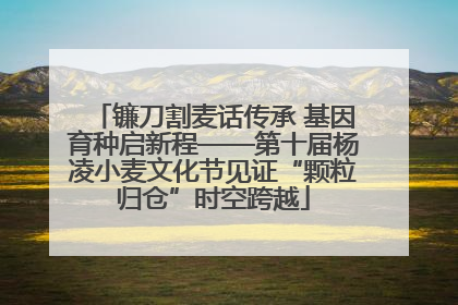 镰刀割麦话传承 基因育种启新程——第十届杨凌小麦文化节见证“颗粒归仓”时空跨越