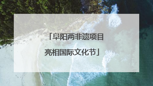 阜阳两非遗项目亮相国际文化节