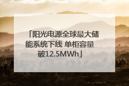 阳光电源全球最大储能系统下线 单柜容量破12.5MWh