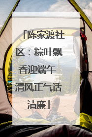 陈家渡社区：粽叶飘香迎端午 清风正气话清廉