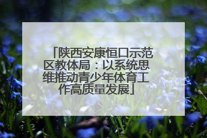 陕西安康恒口示范区教体局：以系统思维推动青少年体育工作高质量发展