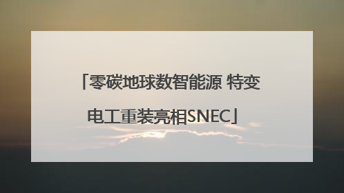零碳地球数智能源 特变电工重装亮相SNEC