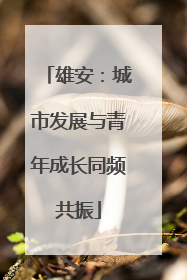雄安：城市发展与青年成长同频共振