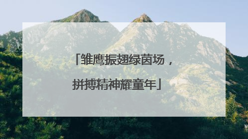 雏鹰振翅绿茵场，拼搏精神耀童年