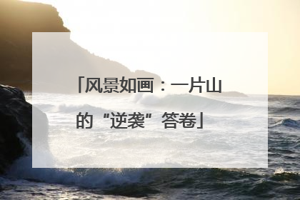 风景如画：一片山的“逆袭”答卷