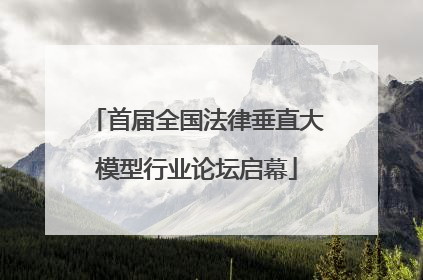 首届全国法律垂直大模型行业论坛启幕